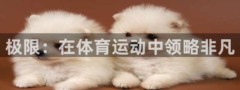 谈球吧体育：极限：在体育运动中领略非凡