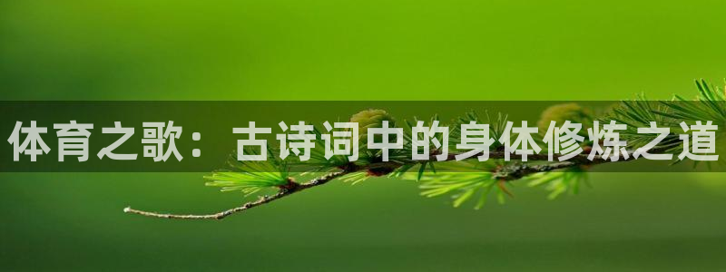 谈球吧体育：体育之歌：古诗词中的身体修炼之道