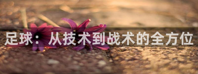 谈球吧：足球：从技术到战术的全方位