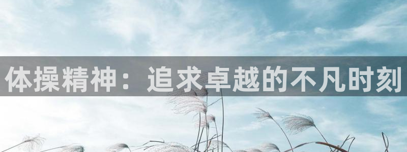 谈球吧：体操精神：追求卓越的不凡时刻
