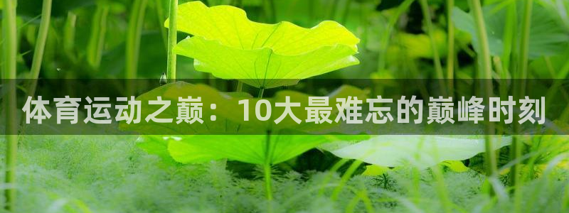 谈球吧