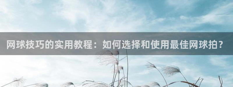 谈球吧