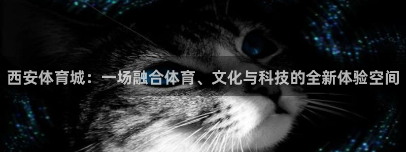 谈球吧体育