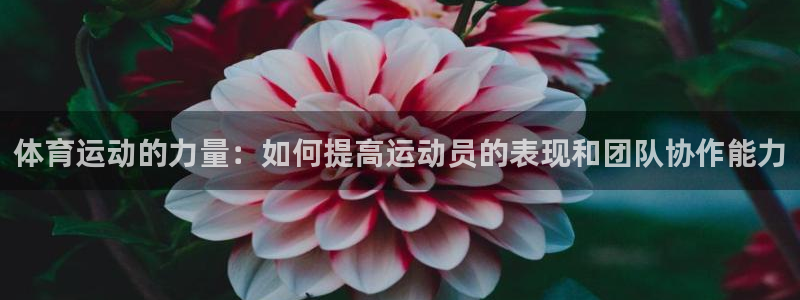 谈球吧