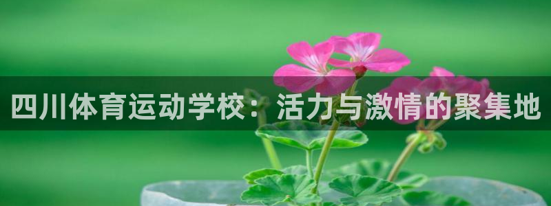 谈球吧体育：四川体育运动学校：活力与激情的聚集地