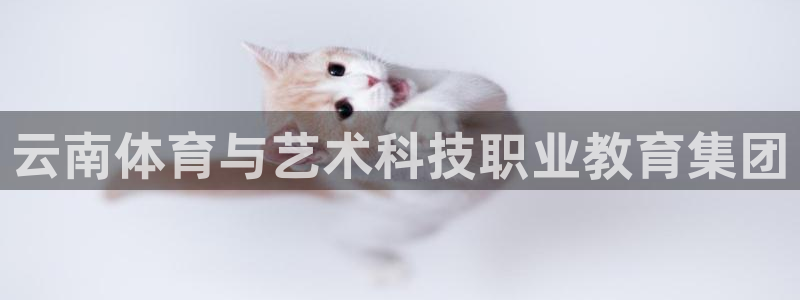 谈球吧体育官网：云南体育与艺术科技职业教育集团