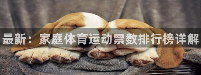 谈球吧：最新：家庭体育运动票数排行榜详解
