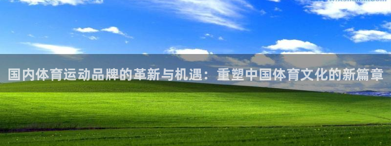 谈球吧体育官网：国内体育运动品牌的革新与机遇：重塑中国体育文化的新篇章