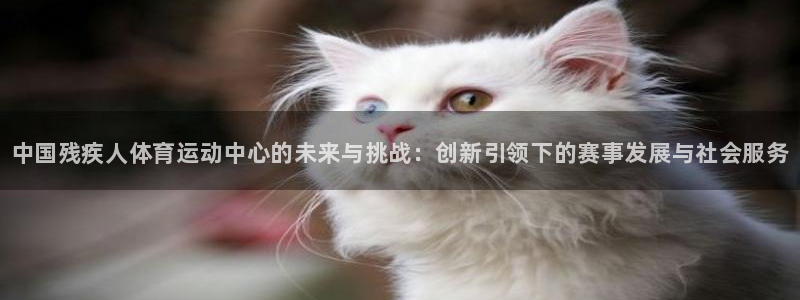 谈球吧：中国残疾人体育运动中心的未来与挑战：创新引领下的赛事发展与社会服务