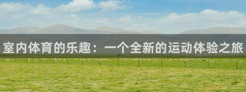 谈球吧体育：室内体育的乐趣：一个全新的运动体验之旅