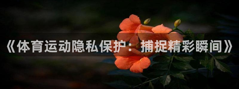 谈球吧体育官网：《体育运动隐私保护：捕捉精彩瞬间》