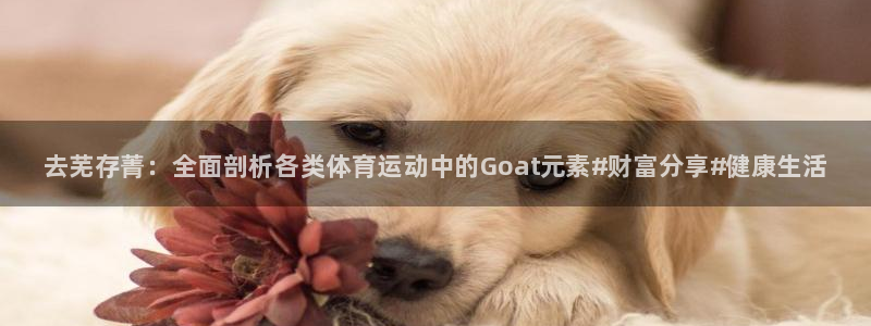 谈球吧：去芜存菁：全面剖析各类体育运动中的Goat元素#财富分享#健康生活