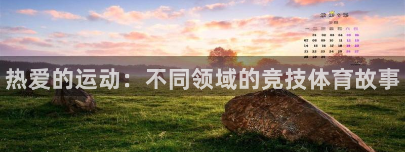 谈球吧：热爱的运动：不同领域的竞技体育故事