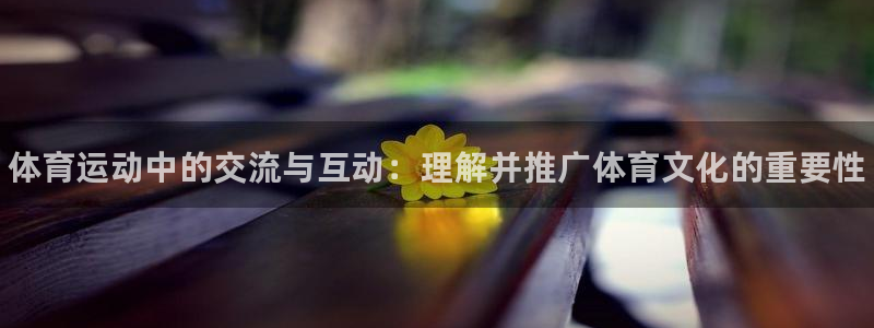 谈球吧体育：体育运动中的交流与互动：理解并推广体育文化的重要性