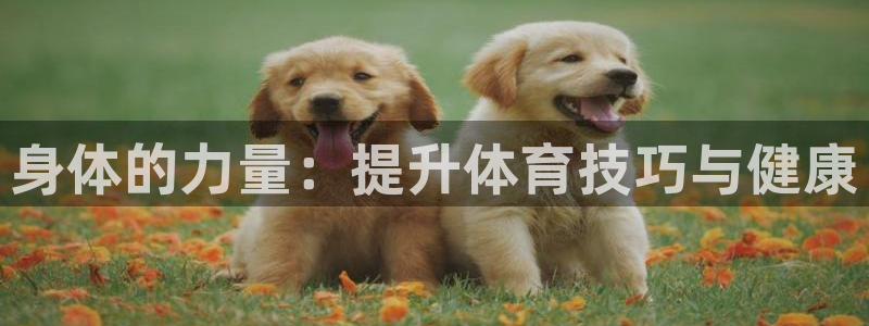 谈球吧体育：身体的力量：提升体育技巧与健康