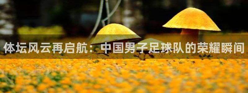 谈球吧体育：体坛风云再启航：中国男子足球队的荣耀瞬间