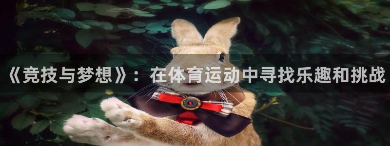 谈球吧：《竞技与梦想》：在体育运动中寻找乐趣和挑战