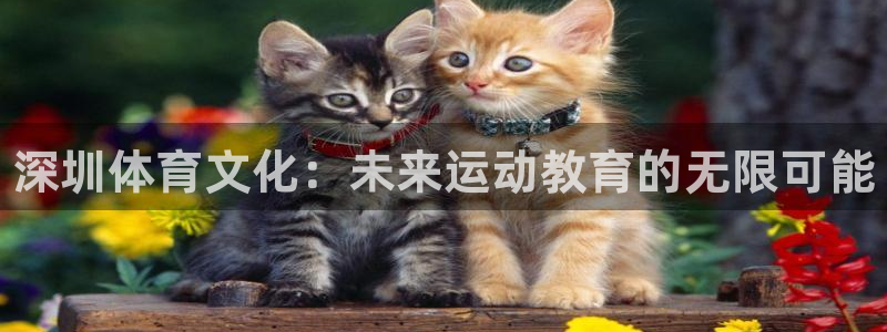 谈球吧体育官网：深圳体育文化：未来运动教育的无限可能
