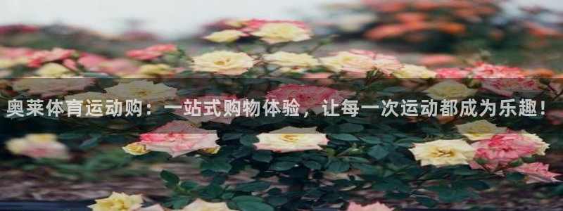 谈球吧体育：奥莱体育运动购：一站式购物体验，让每一次运动都成为乐趣！