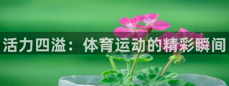 谈球吧体育：活力四溢：体育运动的精彩瞬间