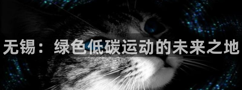 谈球吧：无锡：绿色低碳运动的未来之地