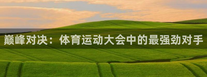 谈球吧体育：巅峰对决：体育运动大会中的最强劲对手