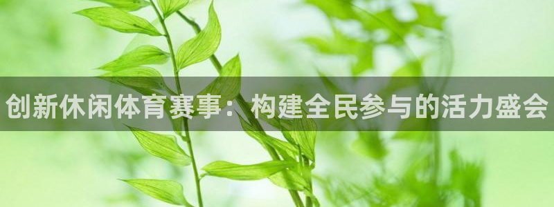 谈球吧：创新休闲体育赛事：构建全民参与的活力盛会