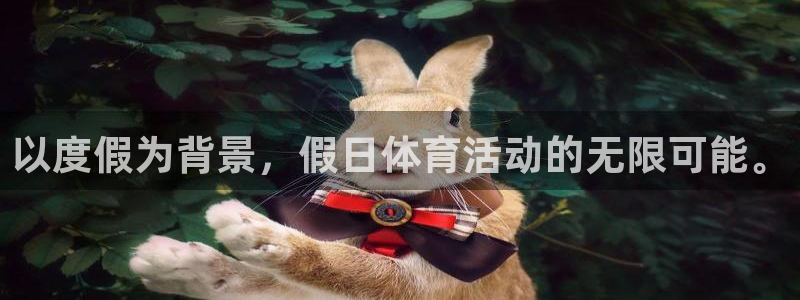 谈球吧体育官网：以度假为背景，假日体育活动的无限可能。