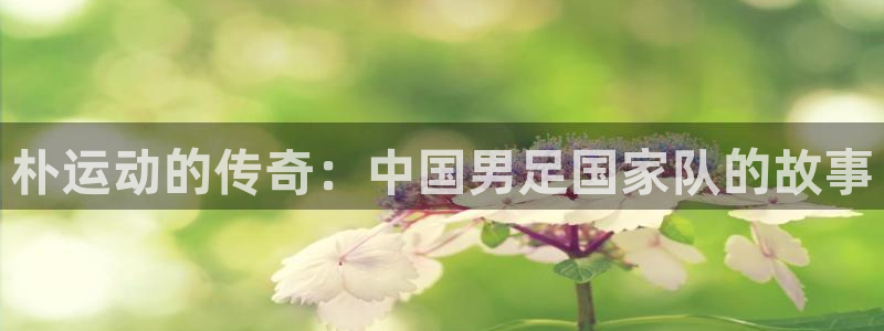 谈球吧：朴运动的传奇：中国男足国家队的故事