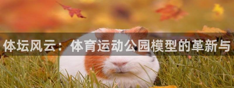 谈球吧体育：体坛风云：体育运动公园模型的革新与