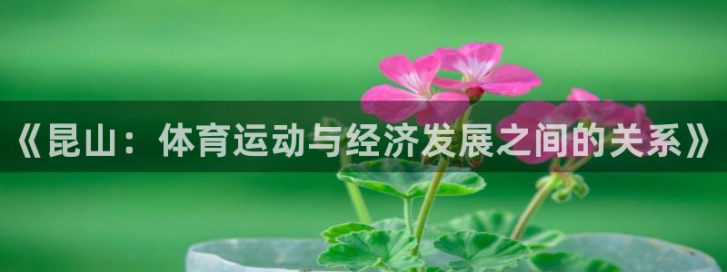 谈球吧