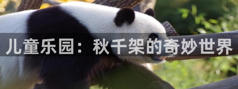 谈球吧体育官网