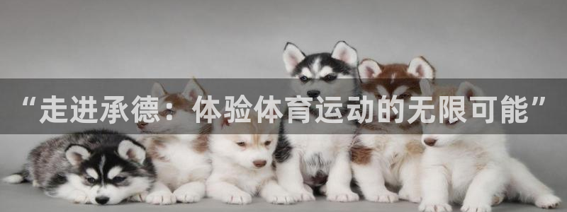谈球吧体育