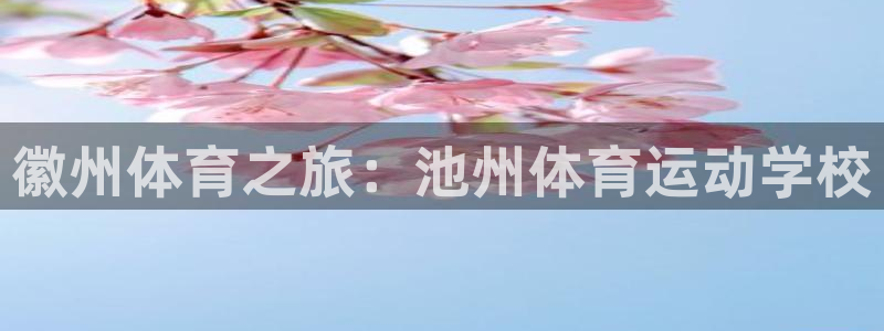 谈球吧