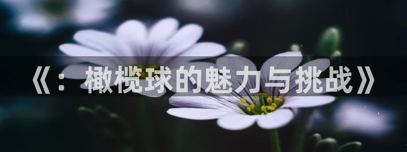 谈球吧体育