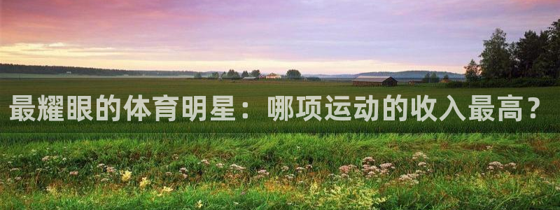 谈球吧