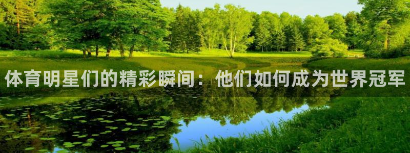 谈球吧