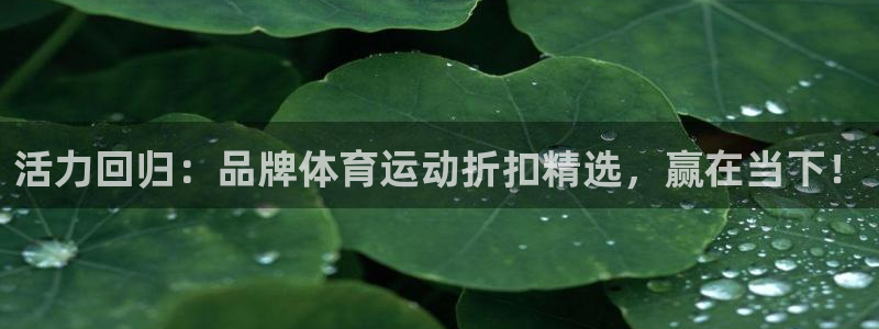 谈球吧：活力回归：品牌体育运动折扣精选，赢在当下！