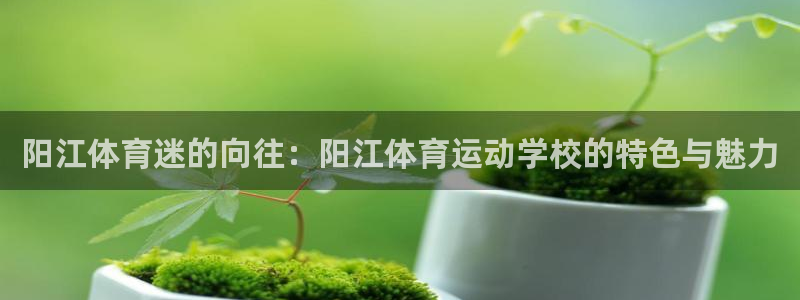 谈球吧：阳江体育迷的向往：阳江体育运动学校的特色与魅力