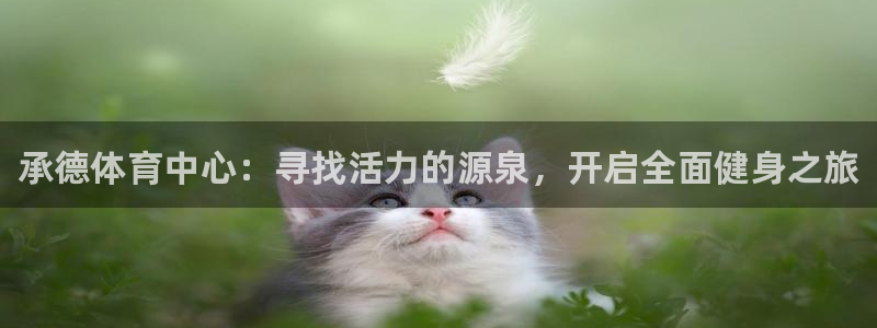 谈球吧体育