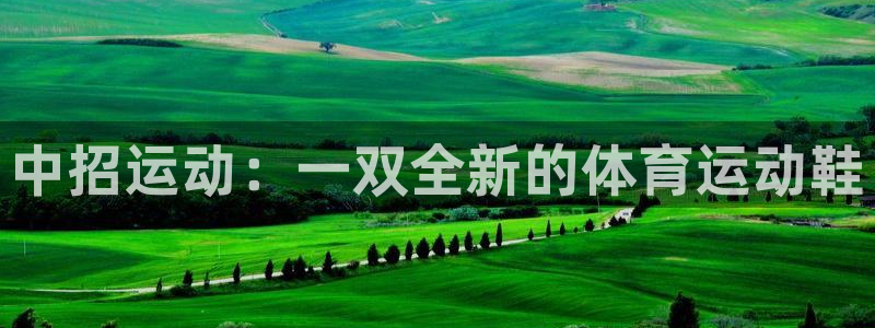 谈球吧体育官网